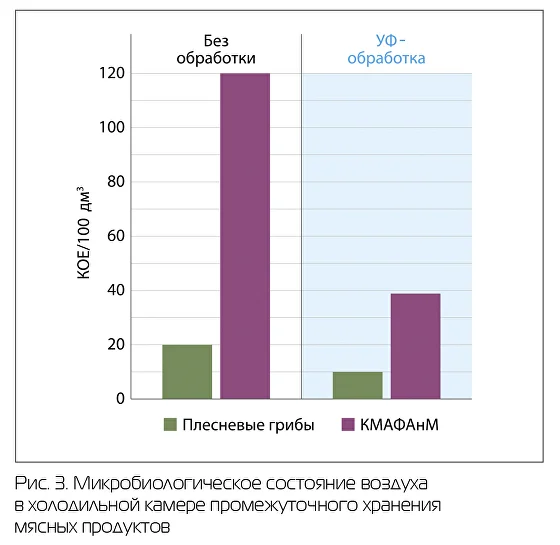 meatbranch-10-2022-- (2).jpg