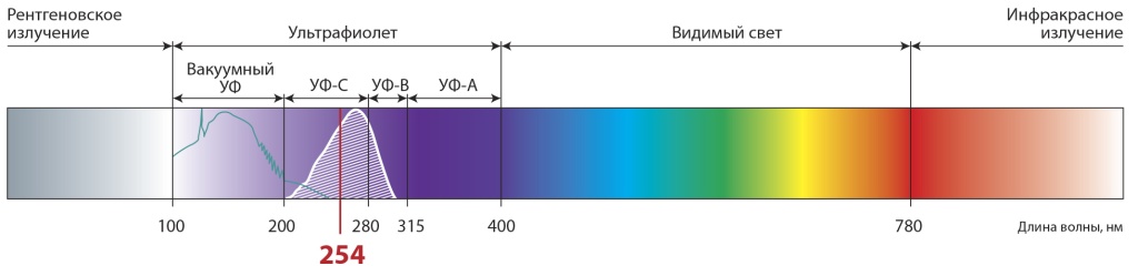Рисунок 1. Диапазоны УФ-излучения с кривой генерации озона (синий цвет) и кривой чувствительности ДНК (белый цвет)
