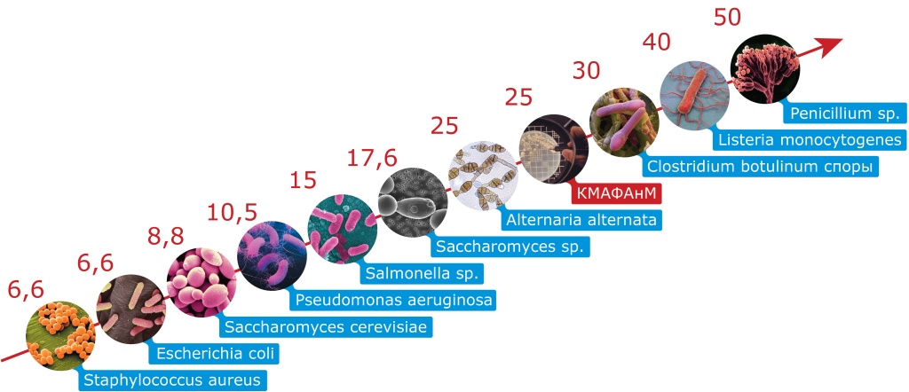 Рисунок 1. Минимальные эффективные УФ-дозы для различных микроорганизмов (в мДж/см2)