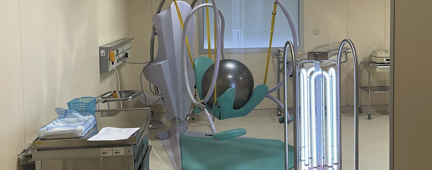 Партнерское участие в семинаре для перинатальных центров