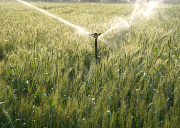 Агрокультура